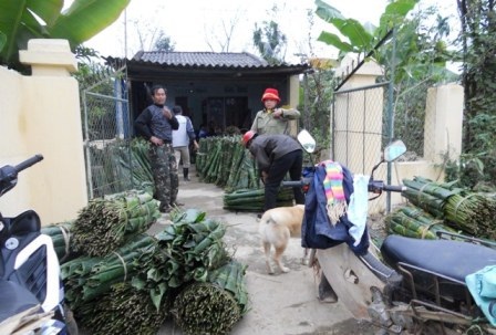 Lá dong rừng tấp nập đổ về xuôi    - 1