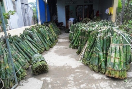 Lá dong rừng tấp nập đổ về xuôi    - 2