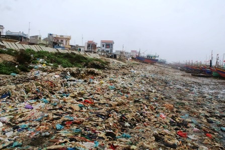 Biển Ngư Lộc “kêu cứu”  