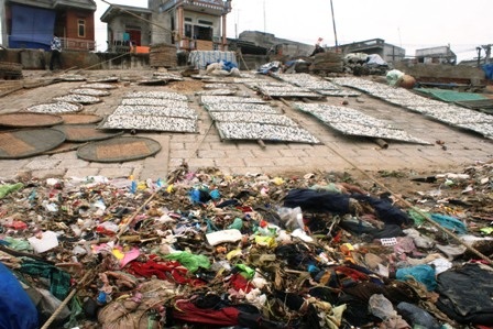 Biển Ngư Lộc “kêu cứu”  