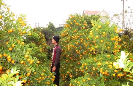 Phù Vân: Ngàn hoa khoe sắc - 12