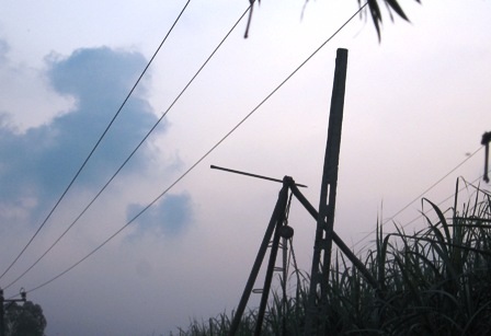 Khởi tố vụ án 6 công nhân bị điện giật chết - 2