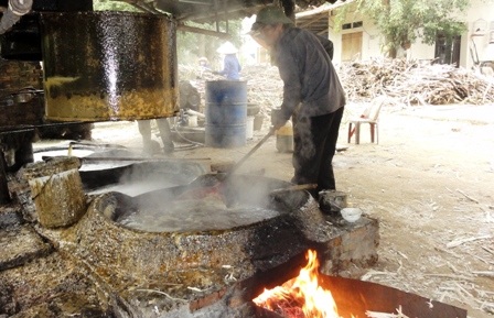 Làng mật mía vào vụ Tết - 3