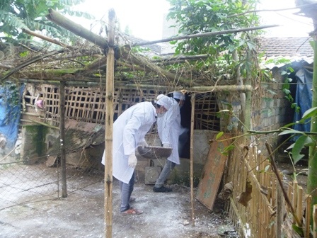 Xuất hiện dịch cúm trên đàn gia cầm   - 4