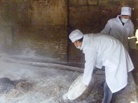 Thanh Hóa: Tiêu hủy gần 10.000 con gia cầm bị bệnh   - 1