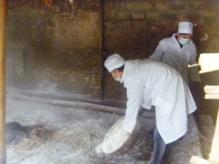 Xuất hiện dịch cúm trên đàn gia cầm   - 3