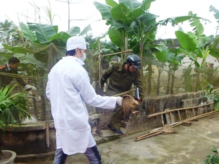 Kỷ luật trưởng Trạm thú y vì lơ là trong công tác phòng chống dịch  - 2