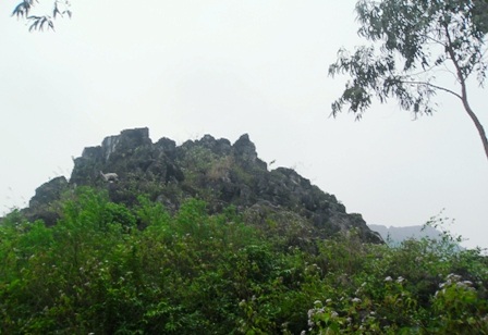 Những câu chuyện ly kỳ quanh “hang vàng” trên núi Thung Nồi   - 1