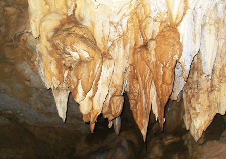 Những câu chuyện ly kỳ quanh “hang vàng” trên núi Thung Nồi   - 8