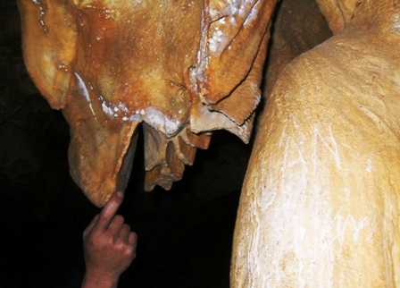 Những câu chuyện ly kỳ quanh “hang vàng” trên núi Thung Nồi   - 14