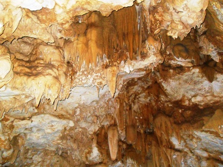 Những câu chuyện ly kỳ quanh “hang vàng” trên núi Thung Nồi   - 12