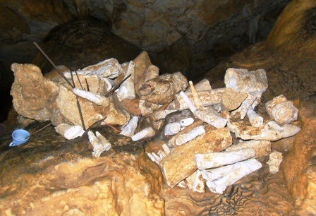 Những câu chuyện ly kỳ quanh “hang vàng” trên núi Thung Nồi   - 4