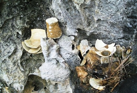 Những câu chuyện ly kỳ quanh “hang vàng” trên núi Thung Nồi   - 5