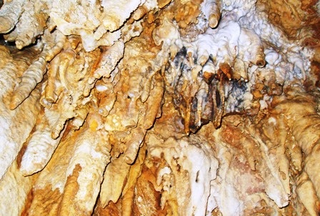 Những câu chuyện ly kỳ quanh “hang vàng” trên núi Thung Nồi   - 13