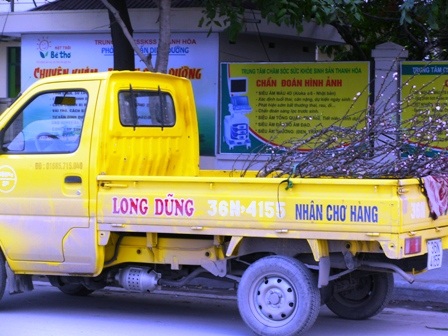 Dịch vụ vận chuyển cây cảnh “hốt bạc” - 7