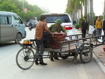 Dịch vụ vận chuyển cây cảnh “hốt bạc” - 2