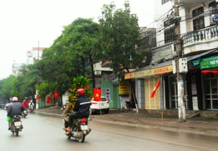 Quất, đào đại hạ giá vẫn ế chiều 29 Tết - 7