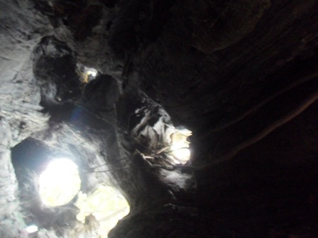 Kỳ bí 2 cây cổ thụ tương truyền gần 800 năm tuổi