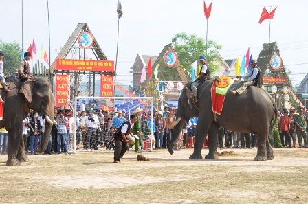 Nô nức đi xem voi... đá bóng