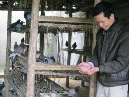 Anh giáo làng trở thành triệu phú nhờ…chim trĩ - 4 Anh giáo làng trở thành triệu phú nhờ…chim trĩ