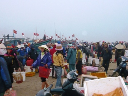 Đại lý ngừng thu mua, ngư dân mang hải sâm đổ xuống biển  