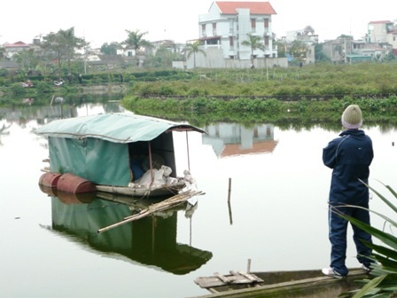 Hàng tấn cá nuôi chết trắng sau một đêm - 4