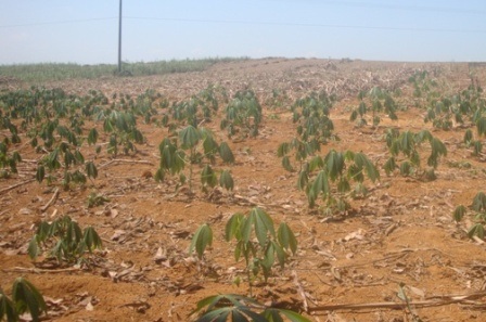 Nắng nóng, người dân đổ xô ra biển giải nhiệt