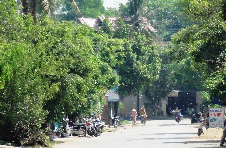 Bướm giăng kín đặc đường đi  