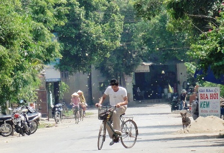 Bướm giăng kín đặc đường đi  