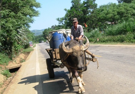 Nắng nóng, người dân đổ xô ra biển giải nhiệt
