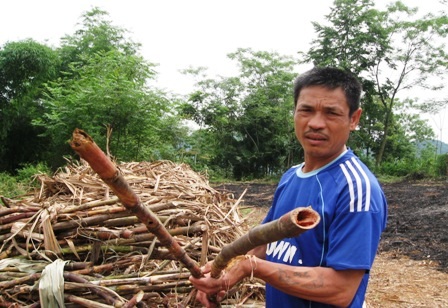Ngành nông nghiệp oằn mình trong nắng hạn kéo dài