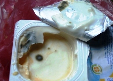 Đau bụng vì ăn phải váng sữa Monte mốc xanh   