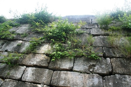 Ngắm trọn bộ ảnh về Thành Nhà Hồ  