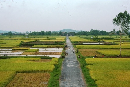 Ngắm trọn bộ ảnh về Thành Nhà Hồ  