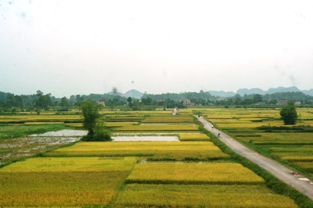 Ngắm trọn bộ ảnh về Thành Nhà Hồ  