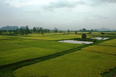 Ngắm trọn bộ ảnh về Thành Nhà Hồ  