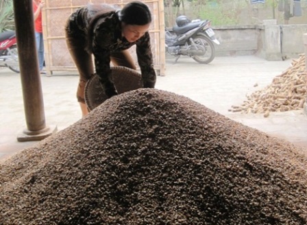 Cán bộ dân số cơ sở gồng mình mưu sinh