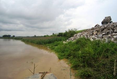 Đê sông Mã sạt lở nghiêm trọng sau bão số 5 - 4 Tình trạng sạt lở ngày càng ăn sâu vào phía trong đê.