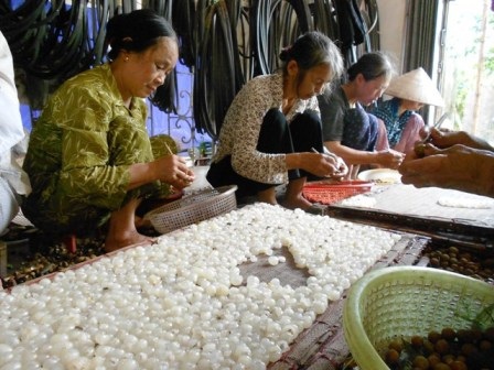  Sau đó được rửa sạch.