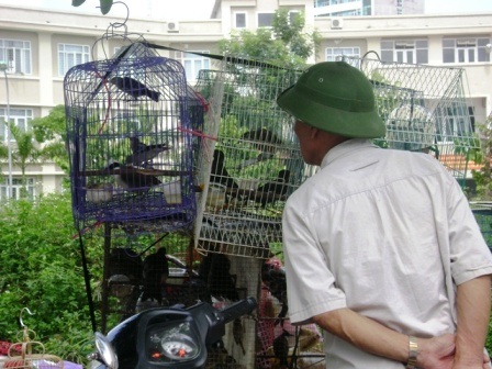 Hàng bán chim di động luôn thu hút người đến xem và mua chim.