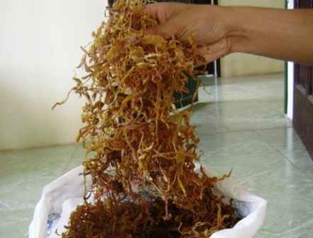  Măng mộc người dân chế biến.