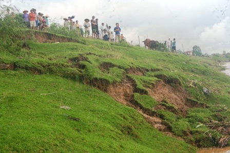 Nhiều điểm sạt lở mái đê tả Sông Chu tại xã Thiệu Vũ, huyện Thiệu Hóa.