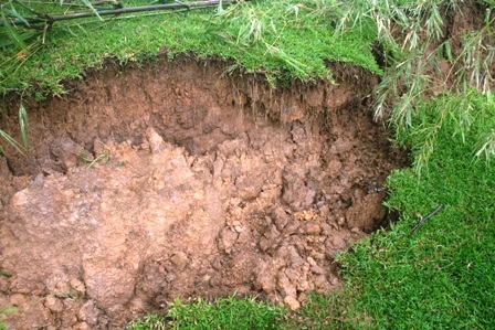 Nhiều điểm sạt lở mái đê tả Sông Chu tại xã Thiệu Vũ, huyện Thiệu Hóa.