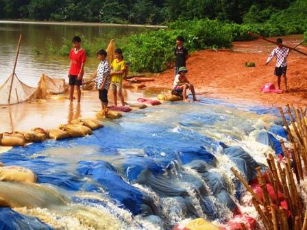 Nhiều điểm đê ở huyện Ngọc Lặc cũng bị sạt lở.