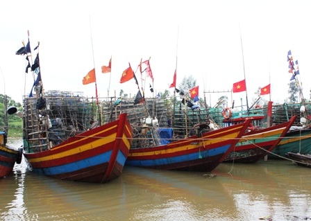 Nhiều tàu thuyền đã vào neo đậu an toàn.