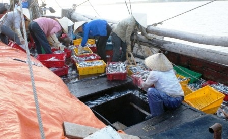  Niềm vui sau mỗi chuyến vươn khơi xa bám biển của ngư dân Thanh Hóa.