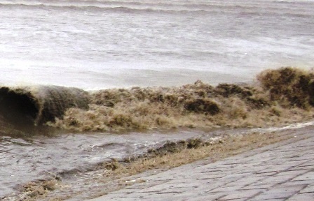 Đến 12 giờ trưa nay, tại huyện Hậu Lộc mưa đã ngớt, tuy nhiên gió bắt đầu giật mạnh lên.