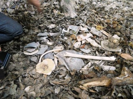  Xương và những mảnh sành, sứ được phát hiện trước cửa hang.