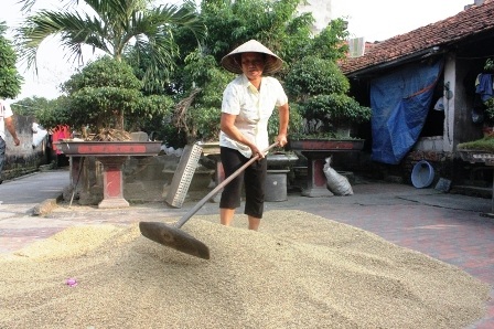 Mặc dù có đến 7 vết thương trên người, nhưng hàng ngày bà vẫn cùng con cái chăm lo làm ăn.