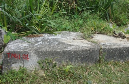 Các nhà nghiên cứu đang tiếp tục khảo sát tại khu vực này.